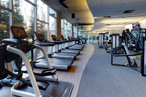 gym, fitness, treadmill-5000169.jpg